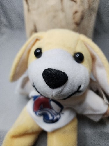 Beanie Baby Etiquetas Oficiales de la NHL Cool Beans Colorado Avalancha Perro Shazam 2000 - Imagen 3 de 13