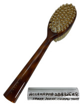 Pneumatic Body Massage Brush, Turtle Resins, DB8316 Acca Kappa