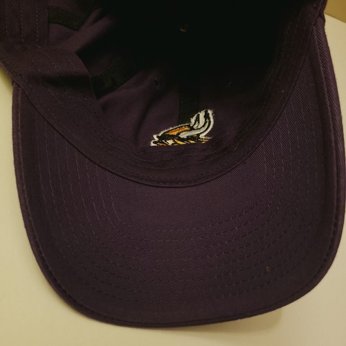 Cappello con berretto Minnesota Vikings adulto taglia unica viola strapback logo calcio NFL ottime condizioni - Foto 8 di 12