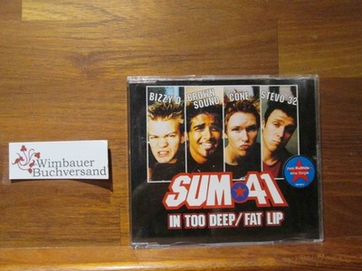 In Too Deep/Fat Lip Sum 41 :
