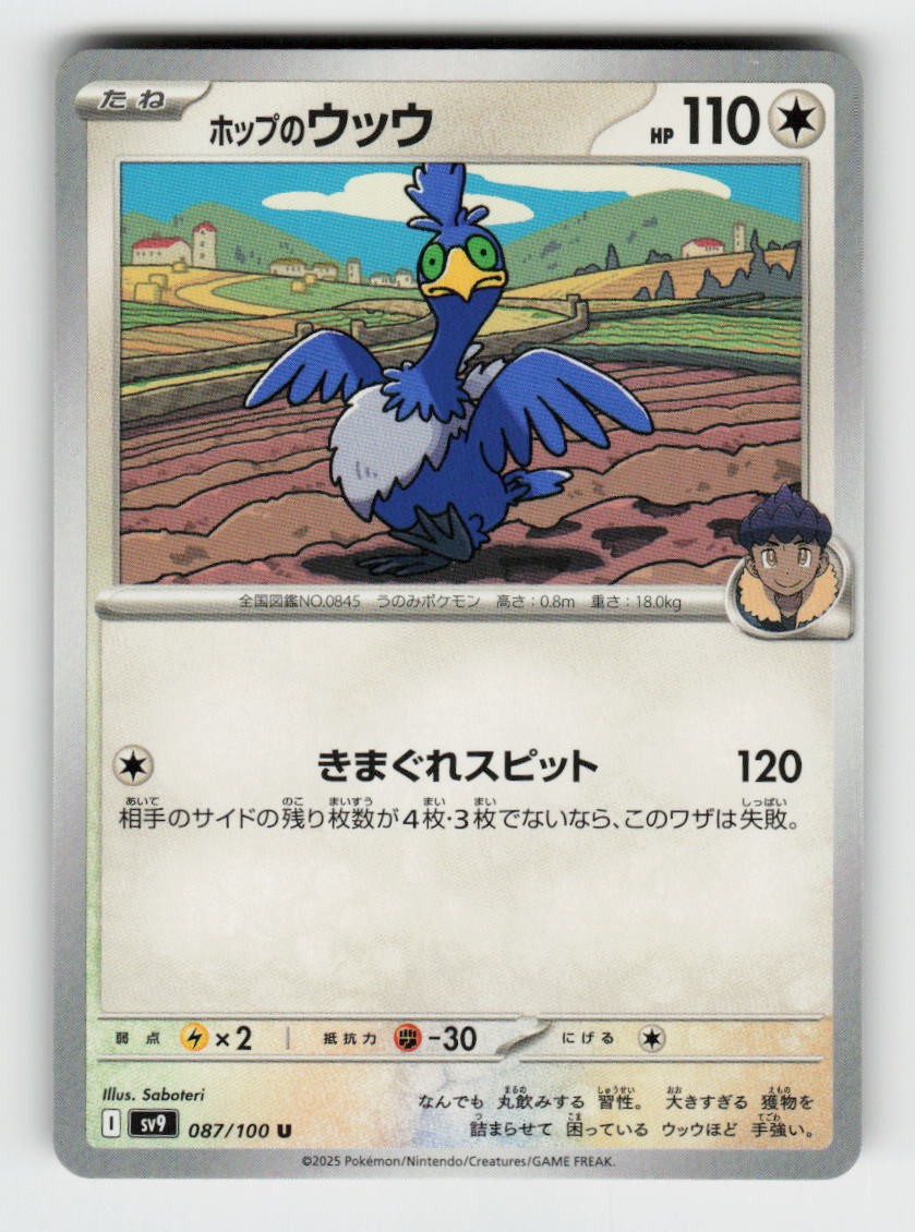 Hop's Cramorant 087/100 Uncommon Battle Partners Pokemon Japanese