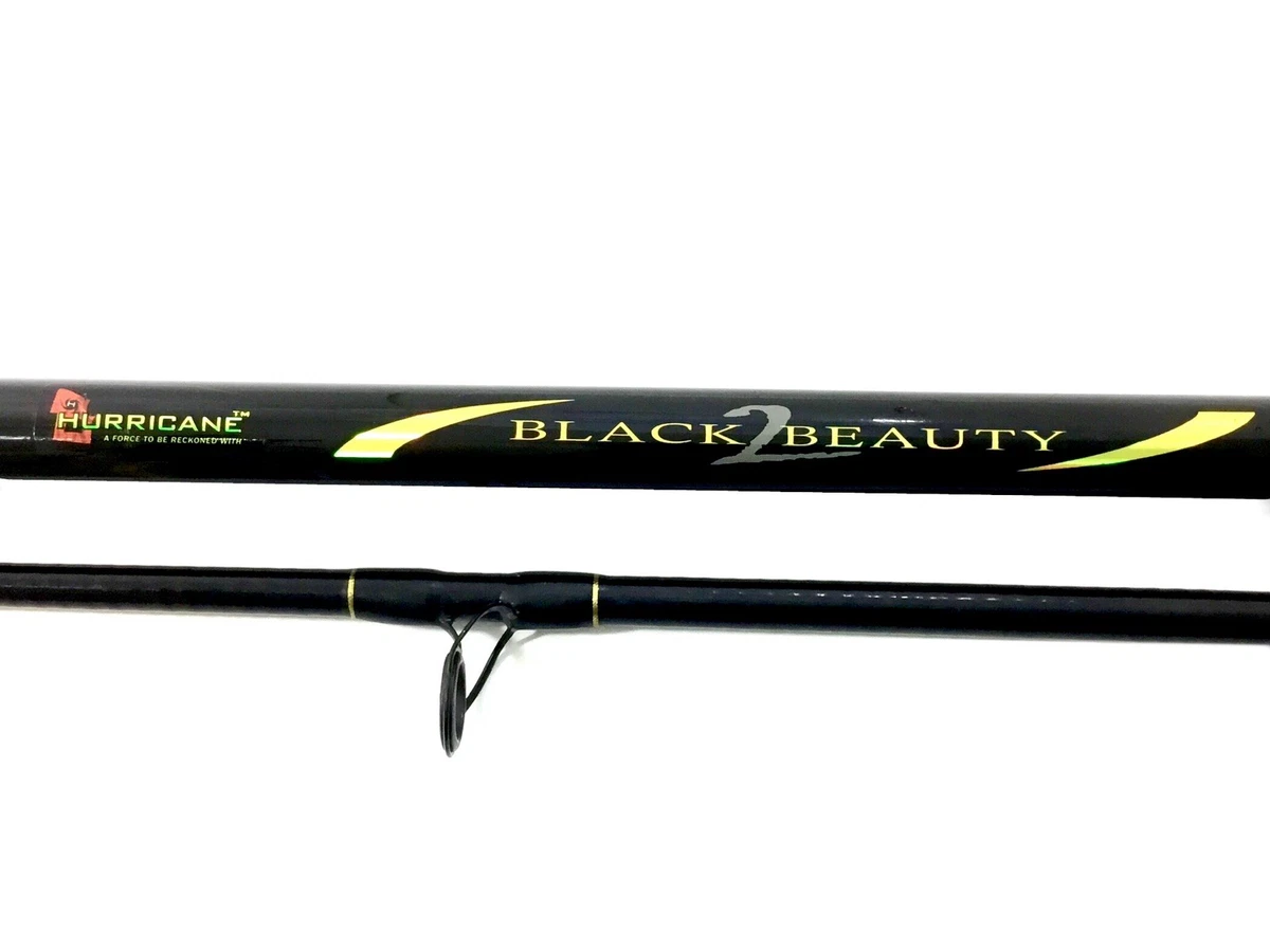 black beauty fishing pole B-N-M 14 ft. Widow 4 Section Telescoping Rods are equipped with a metal eye tip and line Trolling Rod Black Beauty Fly