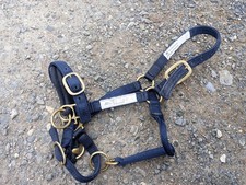 Monty Roberts Doppelhalfter Schwarz Medium