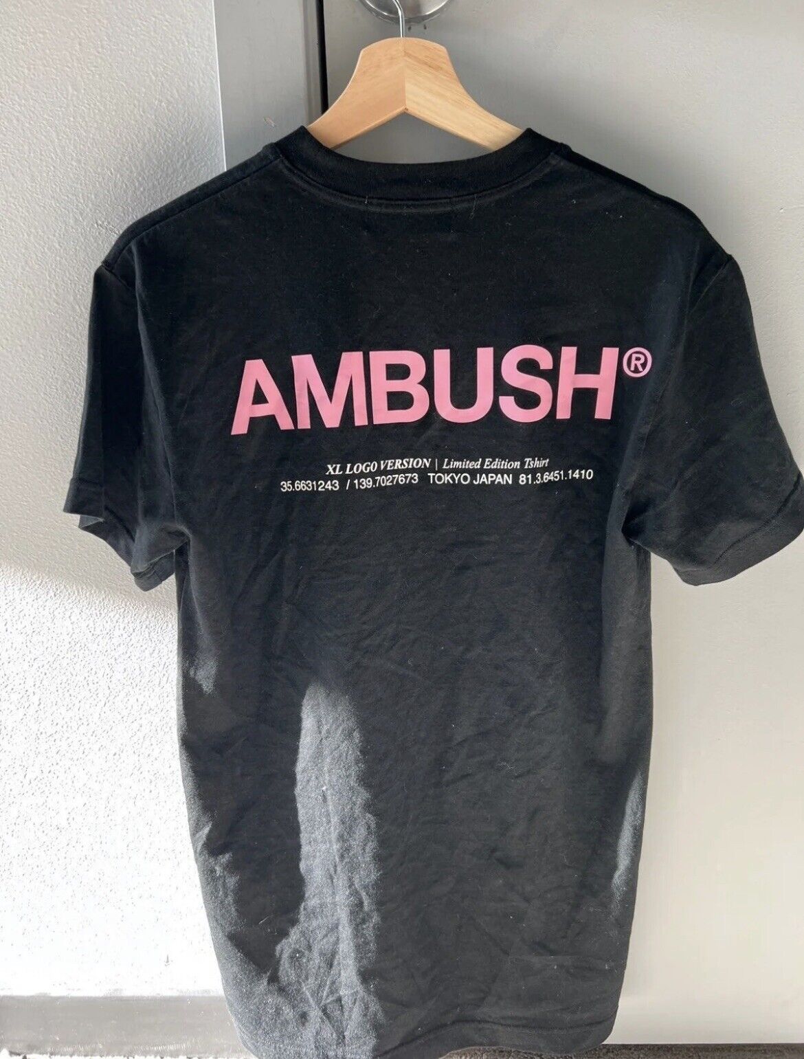 Haiku Uluru stole Ambush XL Logo T-shirt | eBay