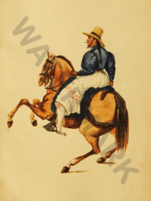 88132 FIERRO SAMBA HORSE LIMA Decor Wall Print Poster