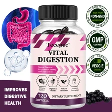 120 Cap Quercetin Healthy Digestive System with Enzymes Bromelain science based