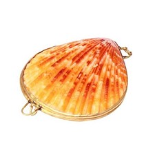Seashell Jewelry Box Small Shell Jewelry Holder Natural Seashell Trinket