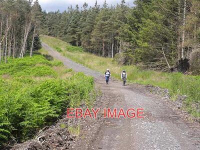PHOTO  ST OSWALD'S WAY IN HARWOOD FOREST ST OSWALD'S WAY IS A 156 KM LONG TRAIL