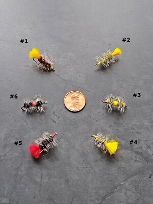 6 pc Custom #10 Wooly Worm Assortment Trout Walleye Pike Fly Fishing Bass Flies 