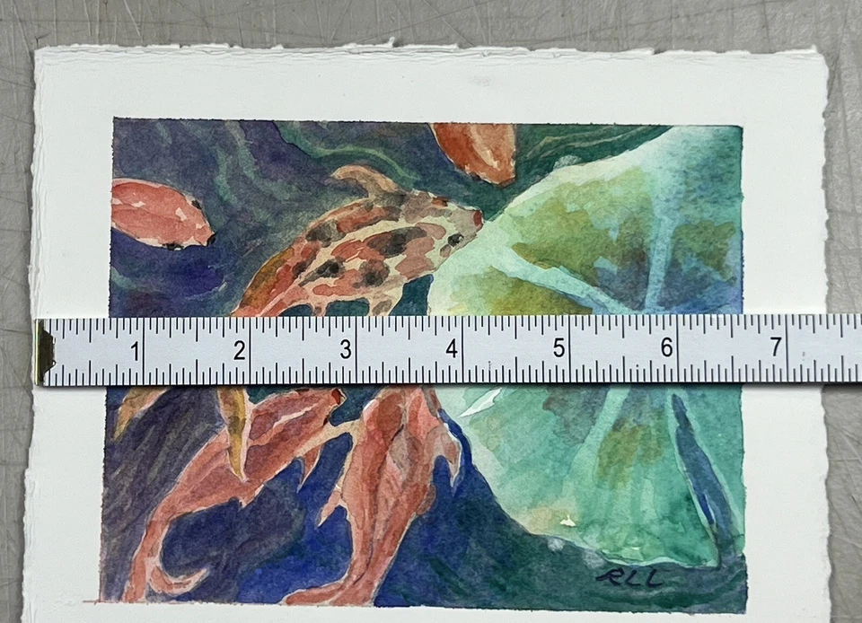 "Pintura acuarela original de Roberta Larson Koi comiendo repollo 6x8"" bellas artes" Foto 3 de 4