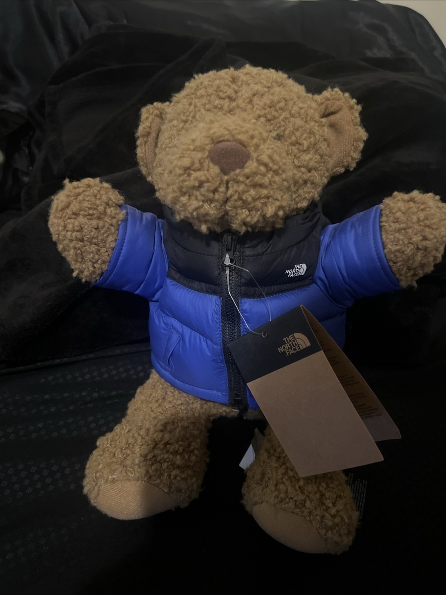 THE NORTH FACE ヌプシベアー NWT The North Face Nuptse Bear Limited Edition 1992 Retro