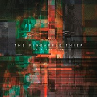 Pineapple Thief - Hold Our Fire - Vinyl Record - G4Z