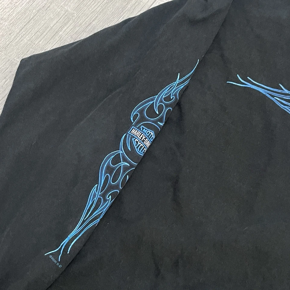 Camisa De Colección Harley Davidson Manga Larga Flames Ride it Hot Biker XL Redwood Foto 3 de 4