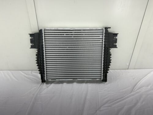 2019-2024 NEW OEM Gmc Sierra 1500 Charge Air Cooler GM#85168760 - Picture 2 of 4