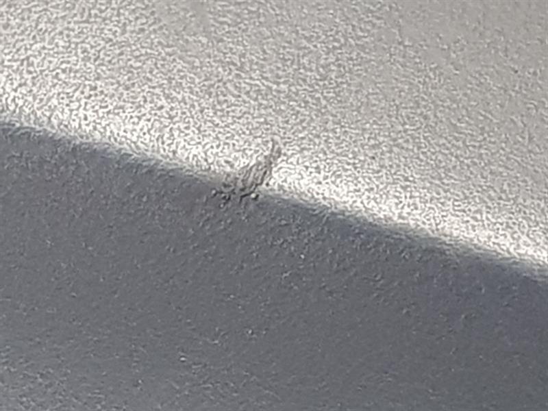 Picture 6 of 19