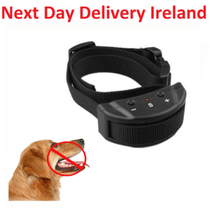 best collar for barking
