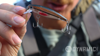 HD TROUT Crankbait, 2.25" Current Available Colors, by Dynamic Lures | eBay HD TROUT Crankbait, 2.25" Current Available Colors, by Dynamic Lures | eBay