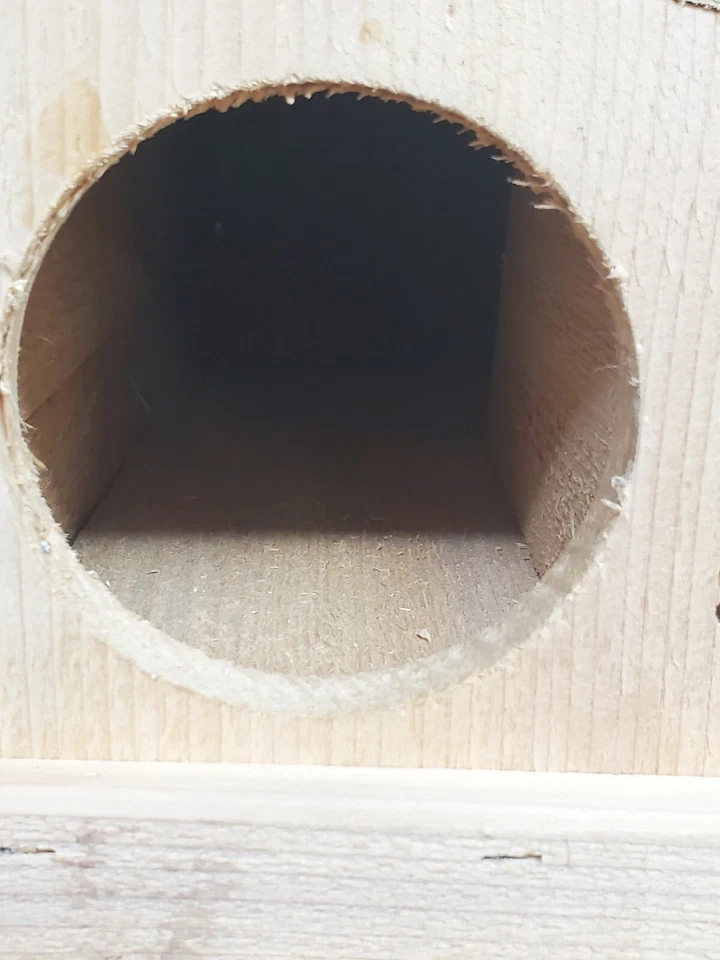 Caja de anidación para casa de ardillas aves cedro animales guardia de seguridad madera hecha a mano  Foto 3 de 4