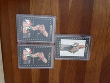 Ric Flair 1991 WCW Card Lot