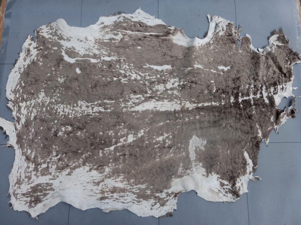 sheepskin shearling leather hide XL Brown on Ivory Acid Washed hair