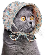 Cat Bonnet