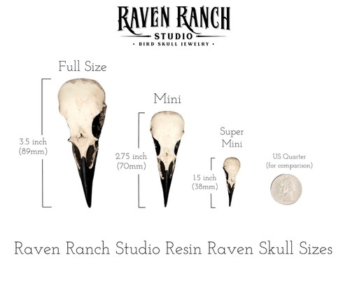 Raven Skull Earrings Bone Resin Dangle, Mini 1.5" Oddities Gothic Jewelry Bird - Picture 4 of 4
