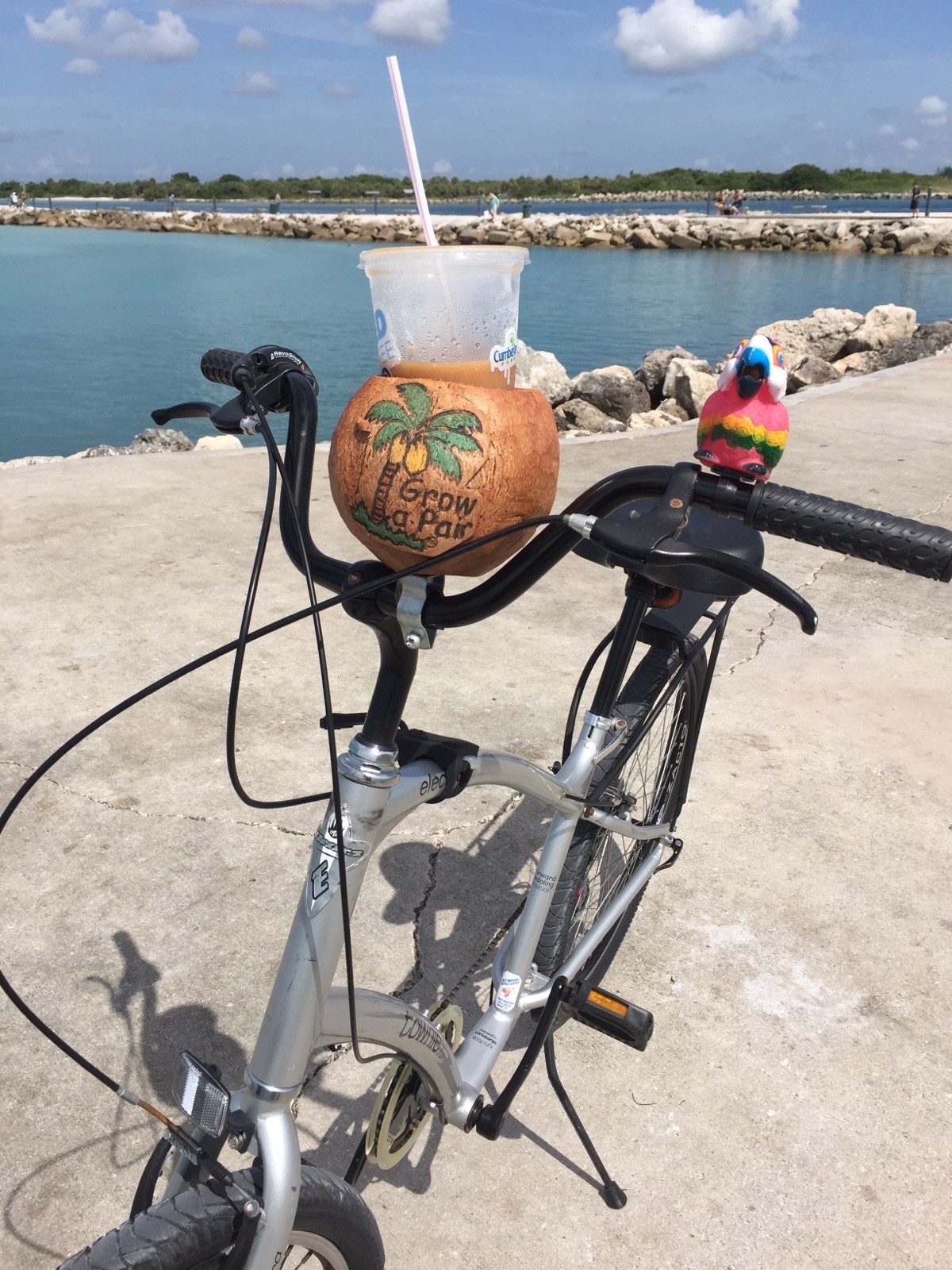 coconut bike drink holder