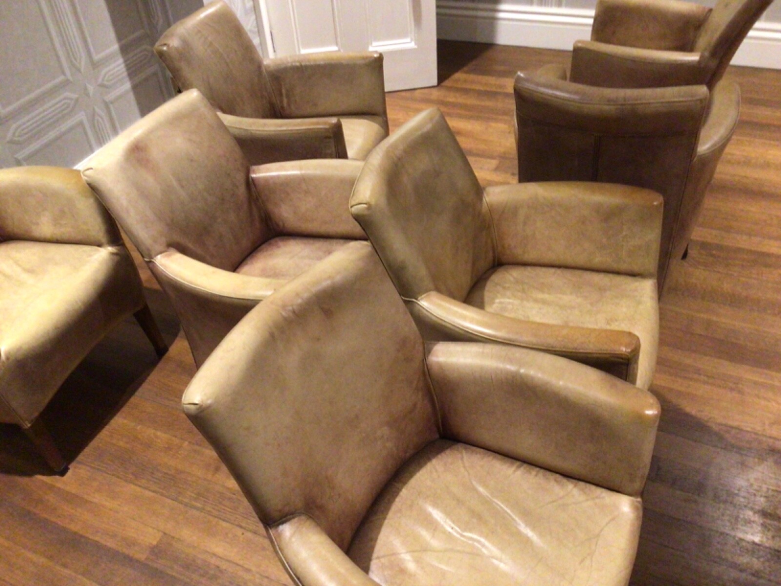 leather dining chairs (Peppermill Interiors) 8 available eBay