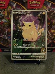 25th Anniversary Pikachu Japanese | eBay