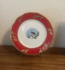 LYNN CHASE Red Winter Game Birds Salad Dessert Plate - 7.5"