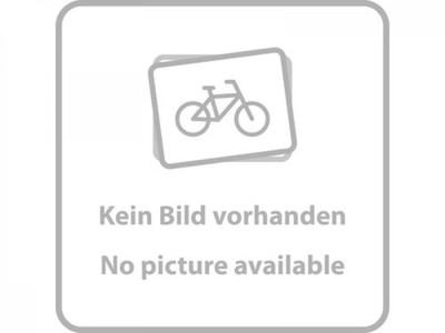 SRAM Freilaufkörper MTH 746 9-/10-fach - zuverlässiger Austausch-Freilauf für...