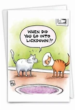 1 Funny Birthday Greeting Card with Envelope - Bday Lickdown, Cat Cone of Shame