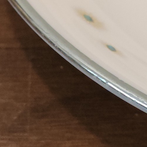 Set tazza da tè e piattini rosa gioiello di LENOX *leggi* - Foto 8 di 15