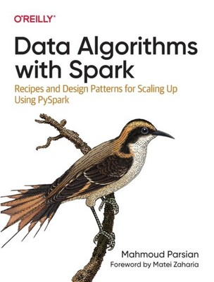 DATA ALGORITHMS WITH SPARK by Mahmoud Parsian Paperback Self Help Business