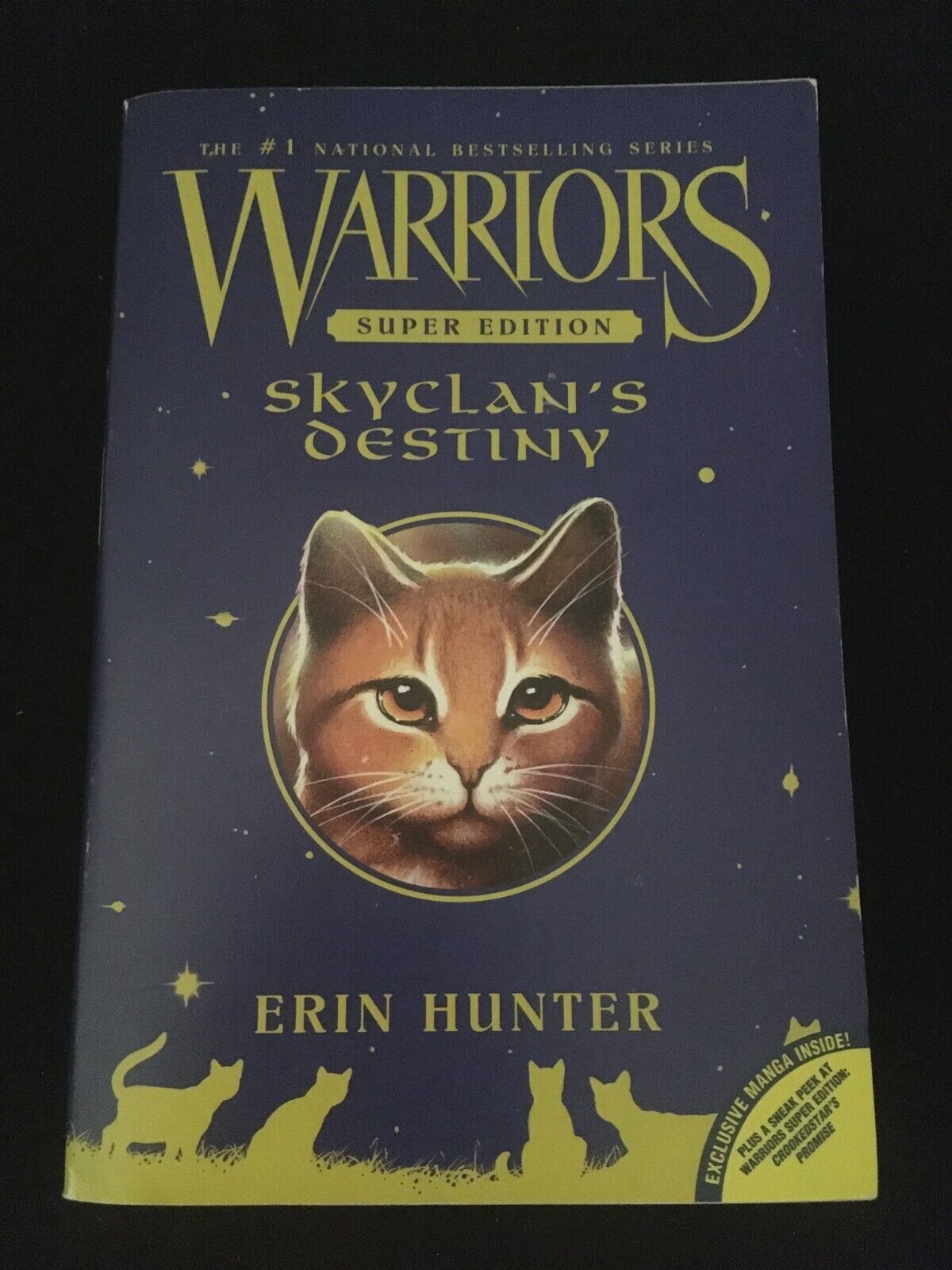 Warriors Super Edition: Crookedstar's Promise (Paperback