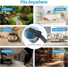 Indoor Outdoor Humane Mouse Trap: Easy Catch & Release