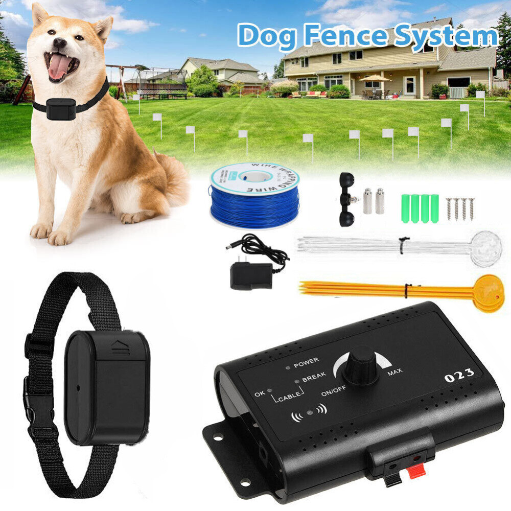 Are Electronic Dog Collars Safe
