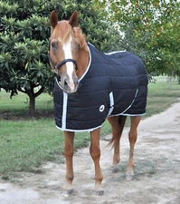 Closed Front 240g Fill Stable Blanket for Horses Black/Silver Not Waterproof NEW