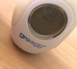 gro egg ebay