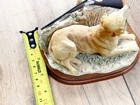 Foto 11 di 11