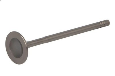 Intake Valve Paradowscy PREN104 for Nissan Juke (F15) 1.2 2014-2019