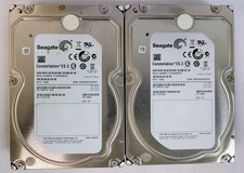 Lot of 2 Seagate Constellation 3TB SATA HDD 3.5" ST3000NM0033