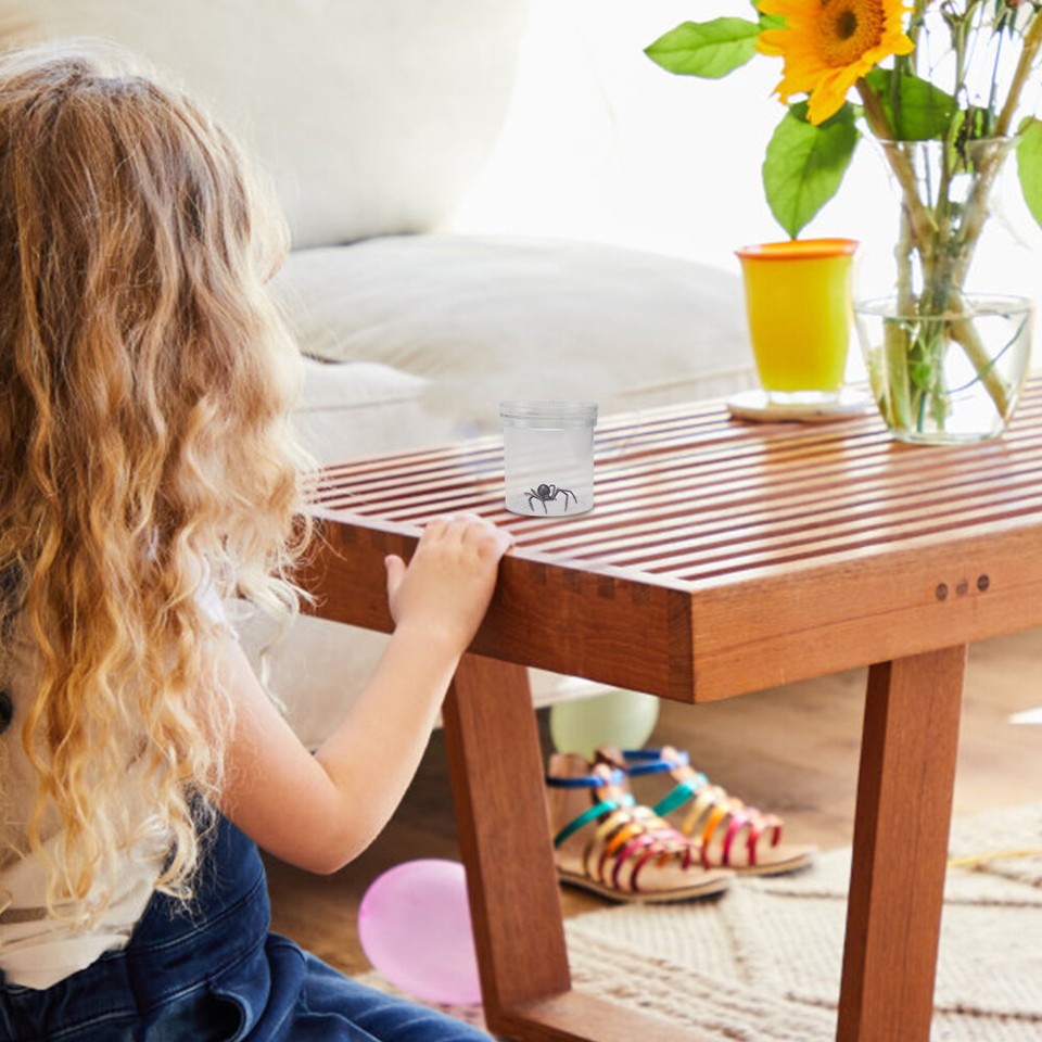 6 Pcs Toy for Kids Insect Breeding Box (6pcs) Triple Magnifying Glass