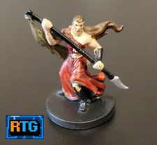 D D Miniature and Card - Half-Elf Sorcerer 20 - Dungeons and Dragons - RPG