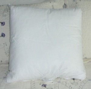 20x20 down pillow insert