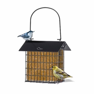 Modern Farmhouse Metal Double Suet Feeder