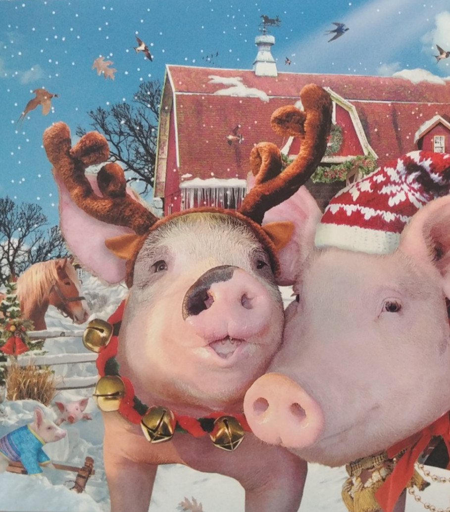 "Kooky Holiday (4) Leanin Tree Christmas, New Year Cards, New With (4) Envelopes