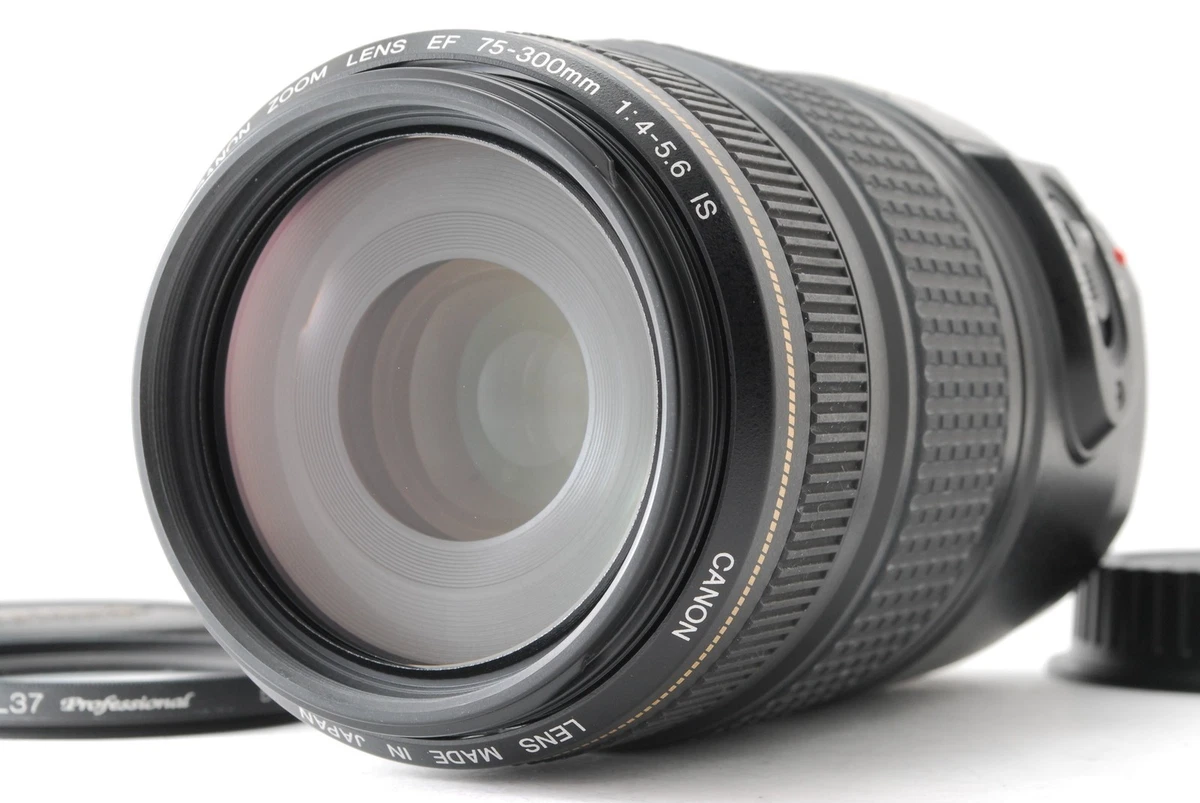 びっくり市場】1円～ canon zoom lens ef 75-300mm 1:4-5.6Ⅱ/canon zoom
