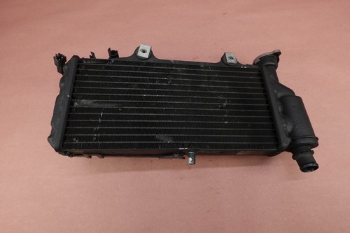 2008-2017 BMW G650 GS G650GS Engine Motor Water Cooling Radiator w/ Fan - Picture 7 of 12