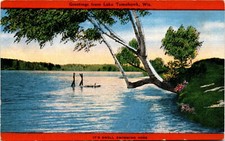 Lake Tomahawk Wis SWELL SWIMMING POST CARD NATURAL COLOR MADE IN USA E Postcard
